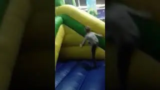 танцующие Бобик и ежик танцующий ежик и бобик