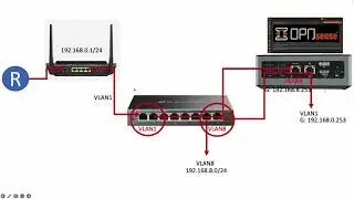 Home Lab Networking Setup :Port Based VLAN with OPNSENSE | TP-Link