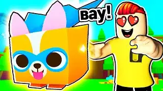 Я Получил HUGE SUPER CORGI в PET SIMULATOR X ROBLOX!