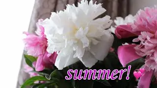 первый день лета / first day of summer