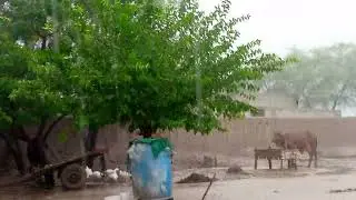 Amazing Rain Snowfall In Village Punjab |beautiful rain snowfall |None stop rain in desert punjab ||