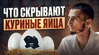 ШОК! Вся правда про яйца и курицу из магазина