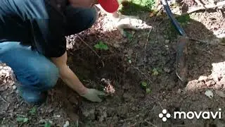 КОП КЛАДА!!!ТАКОЕ МЫ ЕЩЁ НЕ НАХОДИЛИ!!!)