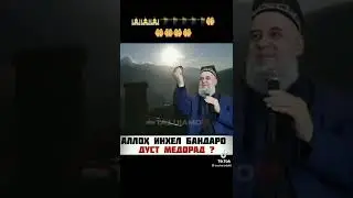28 июля 2022 г.