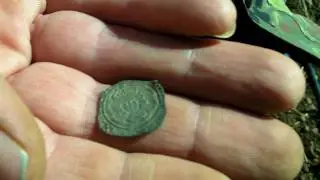 Quakers Acres Hunting for Hammered