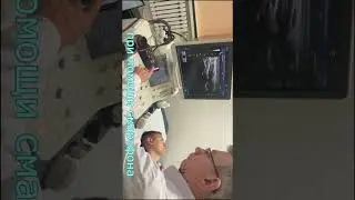 ДиАссистент: мобильная версия