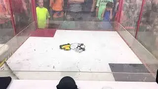 Vibe Check vs Hammerabi (Taproom Tapout)