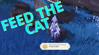 FEED THE CAT HIDDEN ACHIEVEMENT DON'T MISS IT