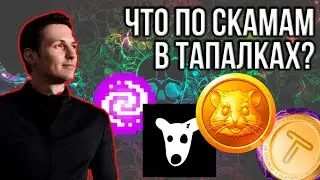 АПДЕЙТ ПО ДЕНЬГАМ И СКАМАМ В ТАПАЛКАХ: DOGS, Hamster Kombat, TapSwap и Pixelverse