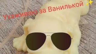 Ухаживвю за Ванилькой! ☺✨🍓💞 Купаю
