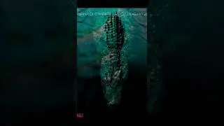 Krokodile (Underground Rap Type Street Beat)David Charlston Beatz #beatmaker2024 #hiphopbeats