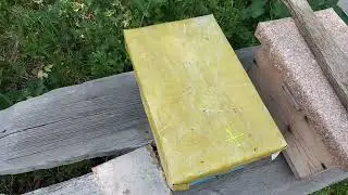 👍🐝🐝🐝  Маточки  карника ( ф- 1 ,  лунц )  ждут  новых  пчеловодов .