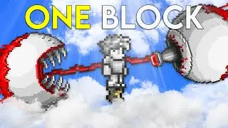 I BEAT Terraria using ONLY one block...