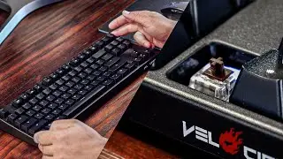The best Mechanical Keyboard under $50 for 2020?