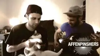 AFFENPINSHERS - Studio Report #2