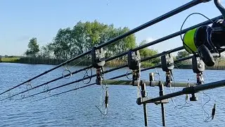 ВОДОЁМ МАРЕВИЛЬ. ТРУДОВАЯ РЫБАЛКА. БЕШЕННЫЙ КЛЕВ. ПРОДОЛЖЕНИЕ
