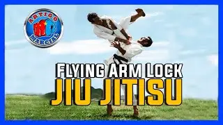 👊Amazing Flying Arm Lock