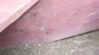 What is burrowing into my yard?