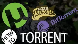 How To Use Torrents