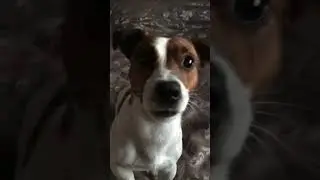 сука ты ебанная