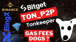 Bitget to Tonkeeper Ton transfer|Telegram Tonkeeper | Beginners guide to Buy stars | DOGS withdrawal