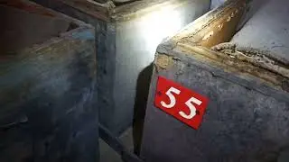Первый  зимний  контроль  пчелосемей .