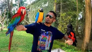 Making Friends at The Bali Bird Park