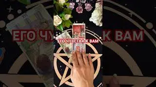#таро