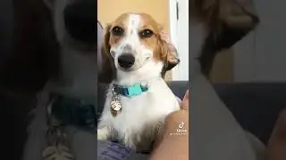 Любовь с первого взгляда)))
