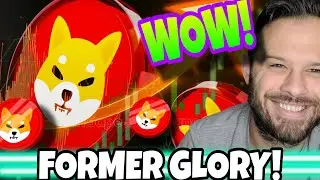 Shiba Inu Coin | Can SHIB Return To Its Former Glory?