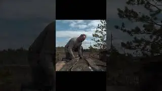Скрадок на гуся, как построить  на болоте. 