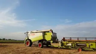Жътва Harvest wheat 2016