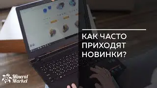 Как часто приходят новинки?