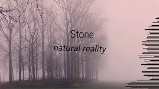 Stone - Natural Reality (Instrumental)