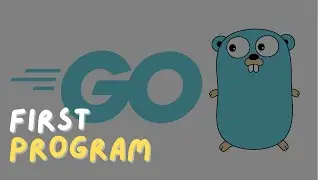 Golang: your first program