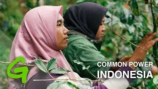 Common Power: Lady Farmer Coffee, Indonesia