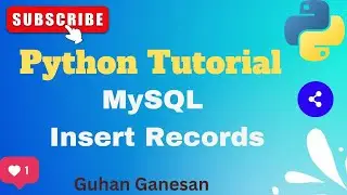 🐍 Python MySQL Insert Records Explained | INSERT Query | mysql-connector | Python Basics