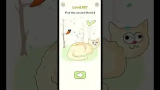 DOP 2 Level 527