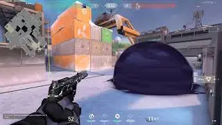 This is why Valorant adding “Clutch Mute” option lol