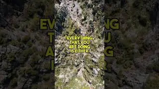 Everything