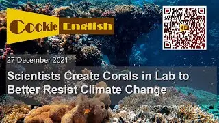 Scientists Create Corals in Lab to Better Resist Climate Change