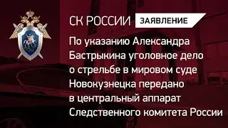 Уголовное дело о стрельбе в мировом суде Новокузнецка передано в центральный аппарат СК