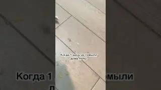 Что будет, если не мыть пол?😳 