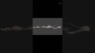 size comparison 3d animation skull #shorts #size #comparison