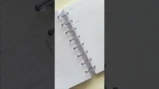 75% Off 2024 Dated Inserts! | Cloth & Paper
