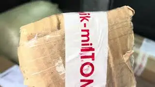 Мои саженцы растут во многих городах. Отправка.