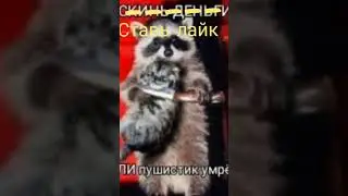 Ставь лайк или он умрет(не обязан-а)  