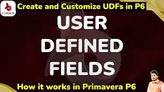 How To Use and Customize User Defined Fields Feature 
