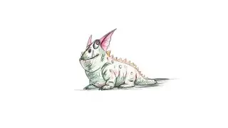 How To Draw A Dragon