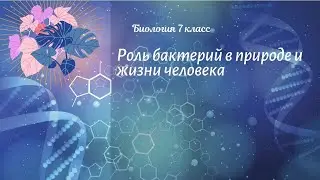 Биология 7 кл Пасечник $4 Роль бактерий в природе и жизни человека